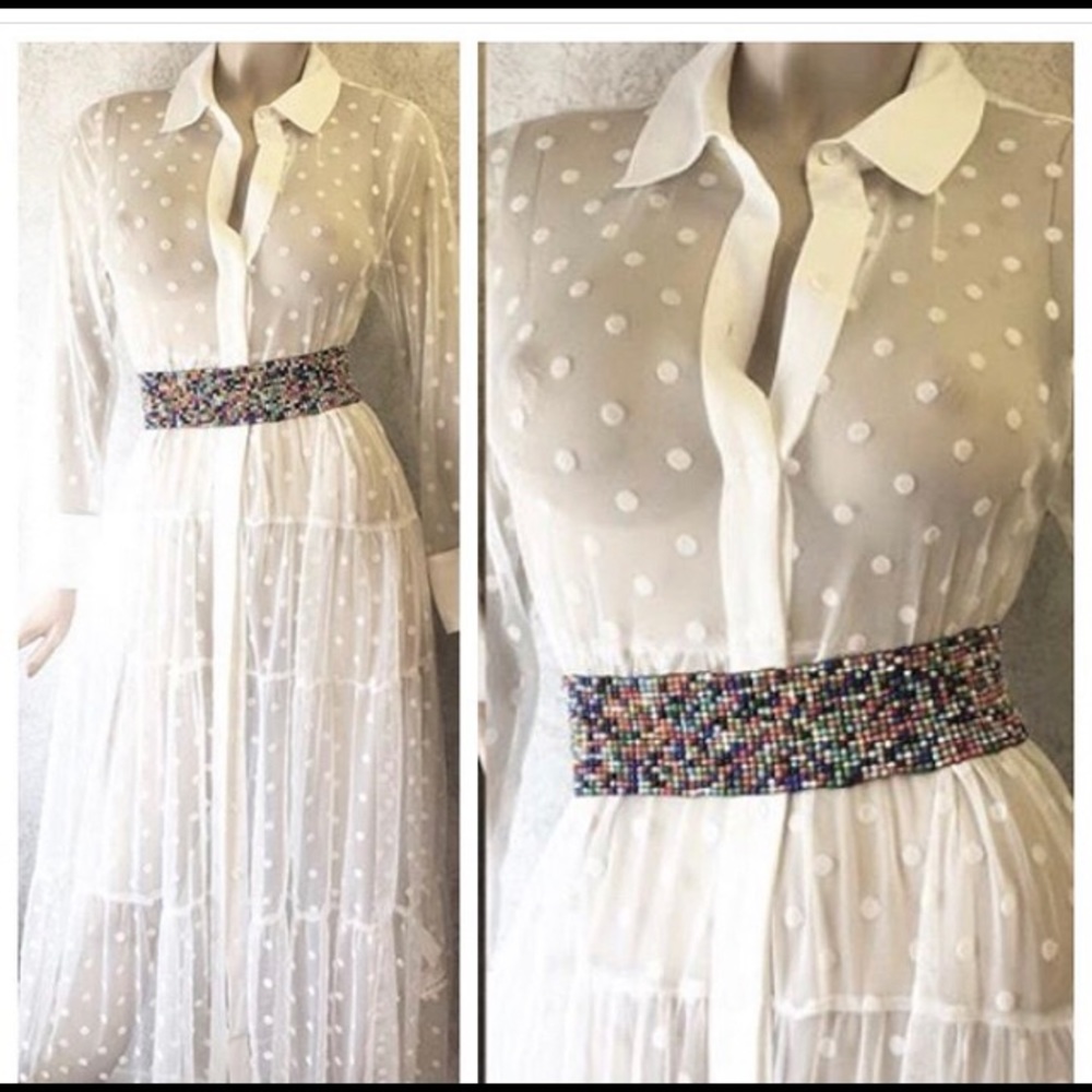 Zara TRF sheer maxi button up dress